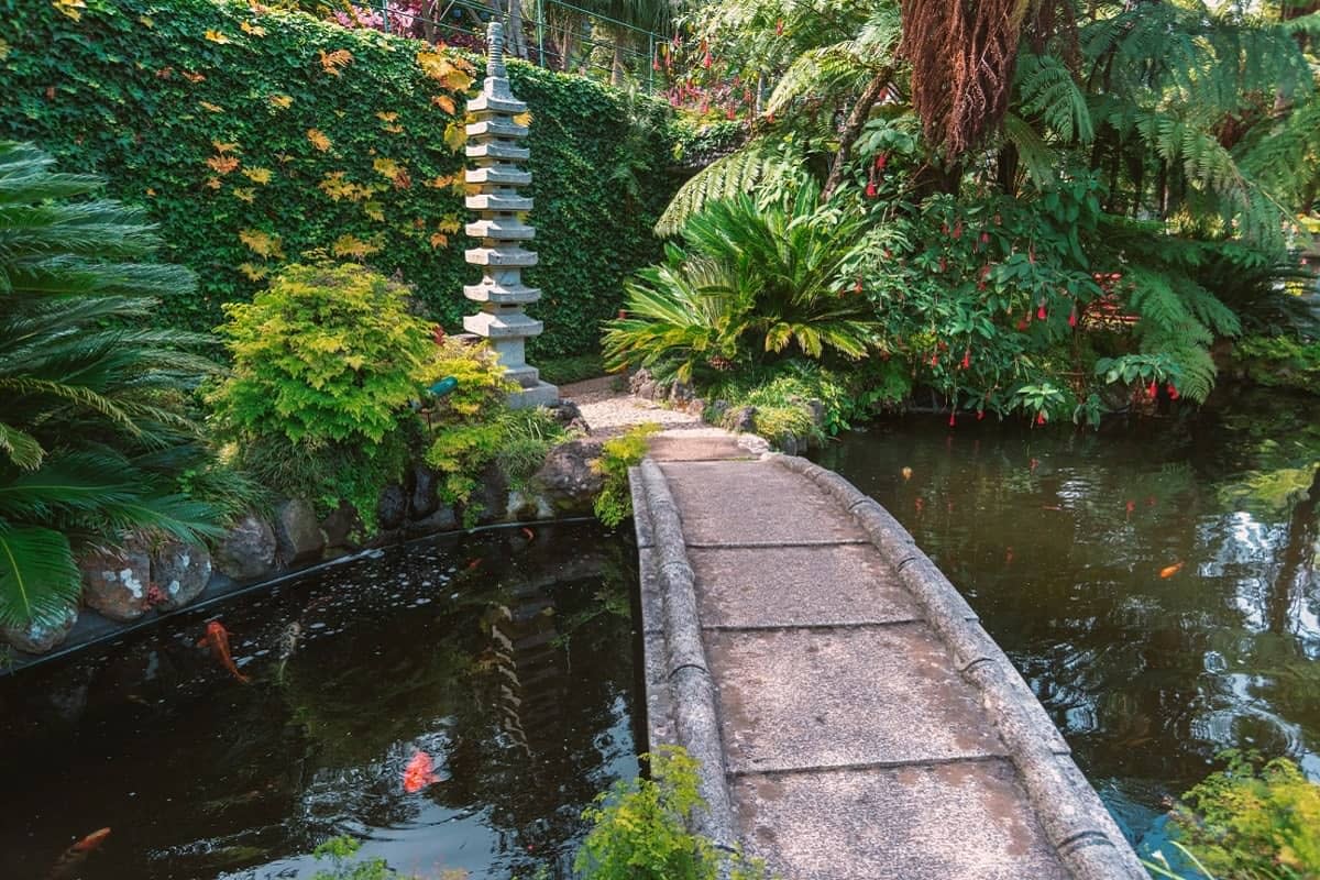 Giardini zen giapponesi: mondo in miniatura | Fontana Group