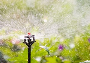irrigazione del giardino